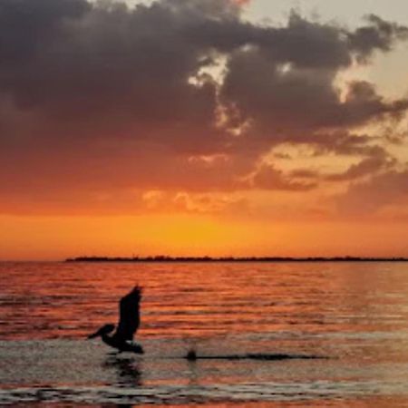 Vista Del Mar At Cape Harbour Marina, 10Th Floor Luxury Condo, King Bed, Views! Cape Coral Exterior photo